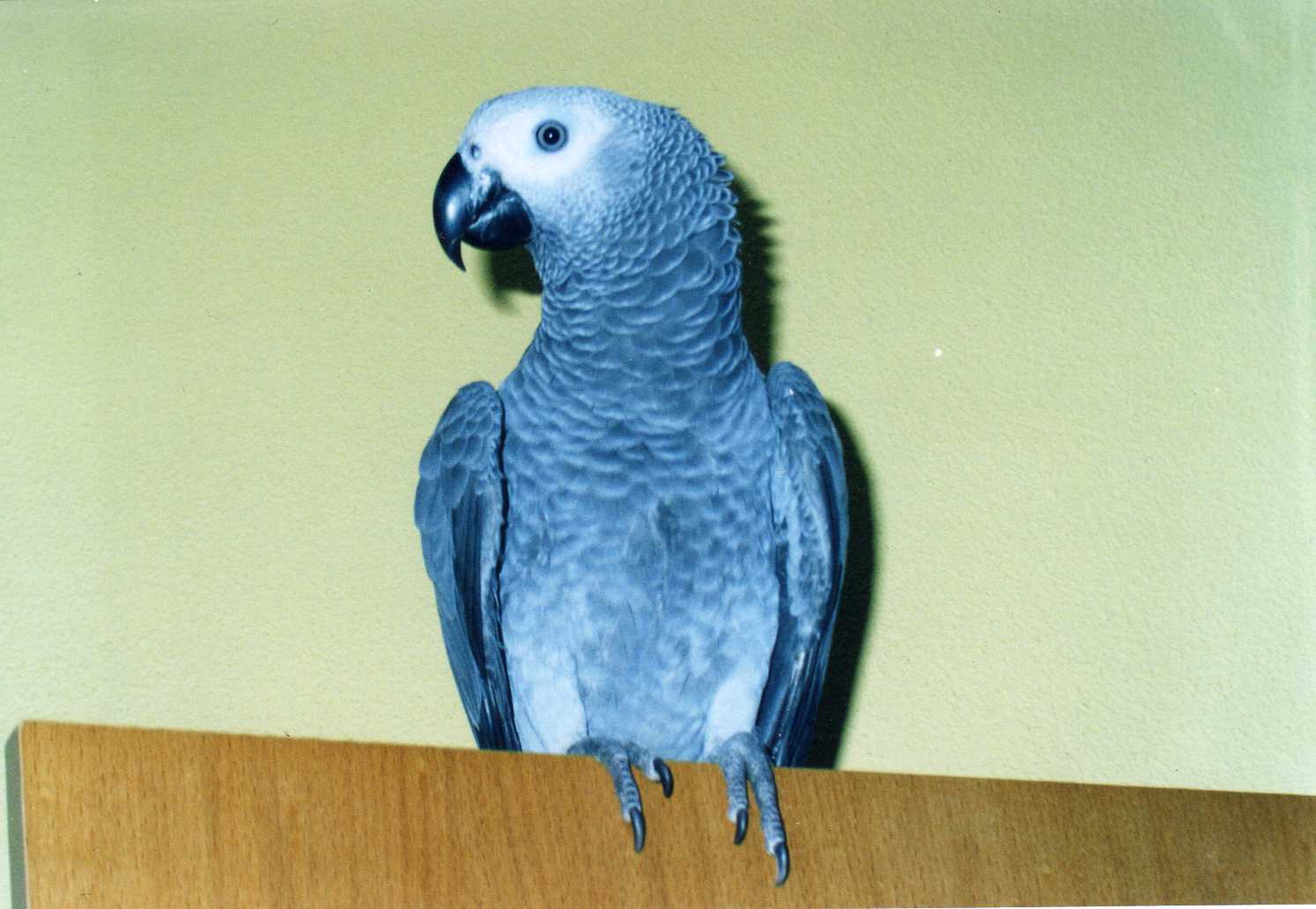 Snímek 004.jpg