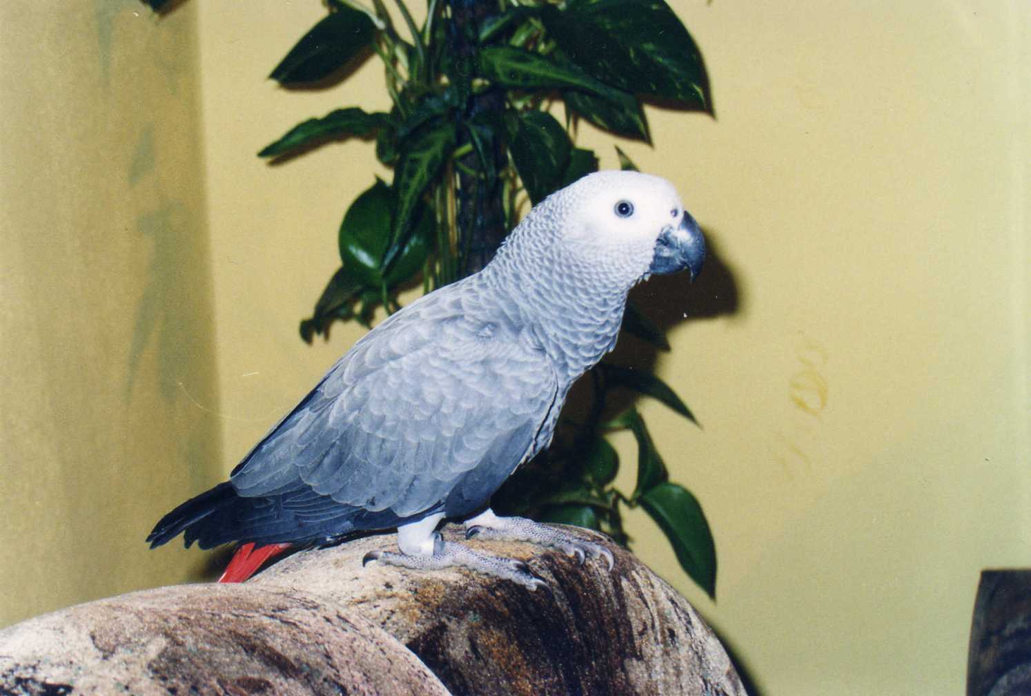 Snímek 003.jpg