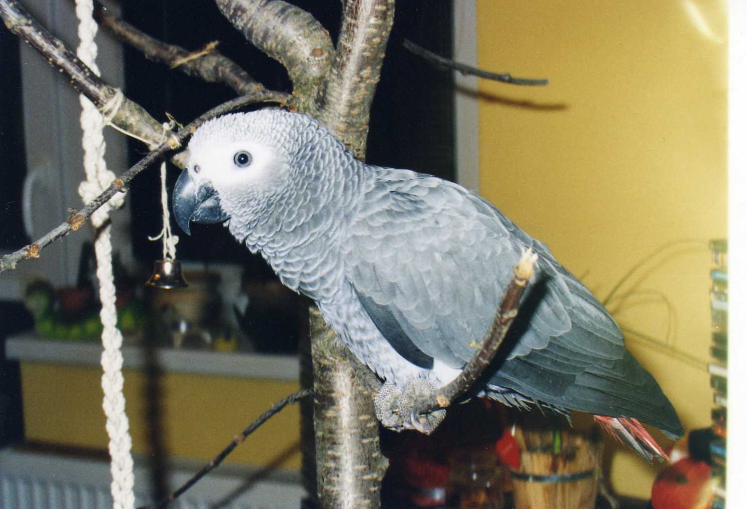Snímek 006.jpg