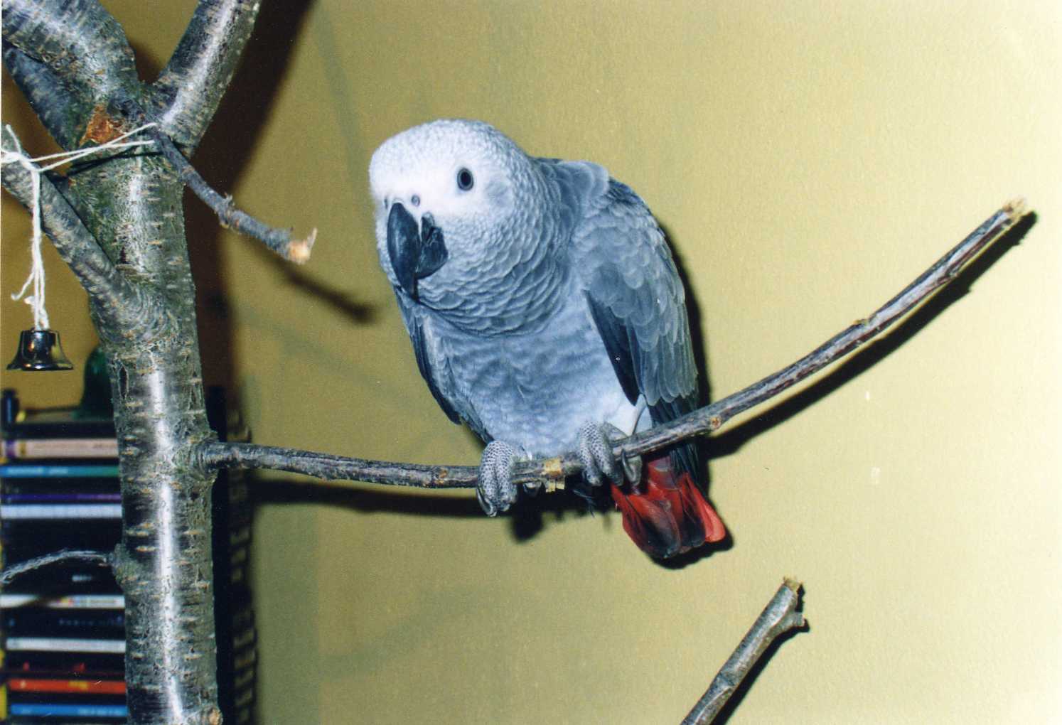 Snímek 007.jpg