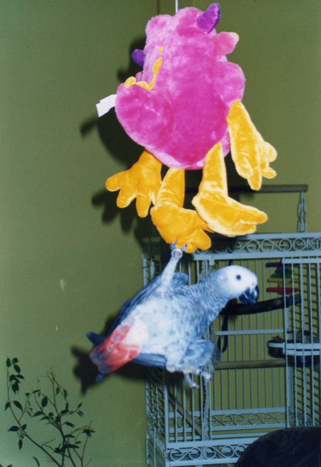 Snímek 008.jpg