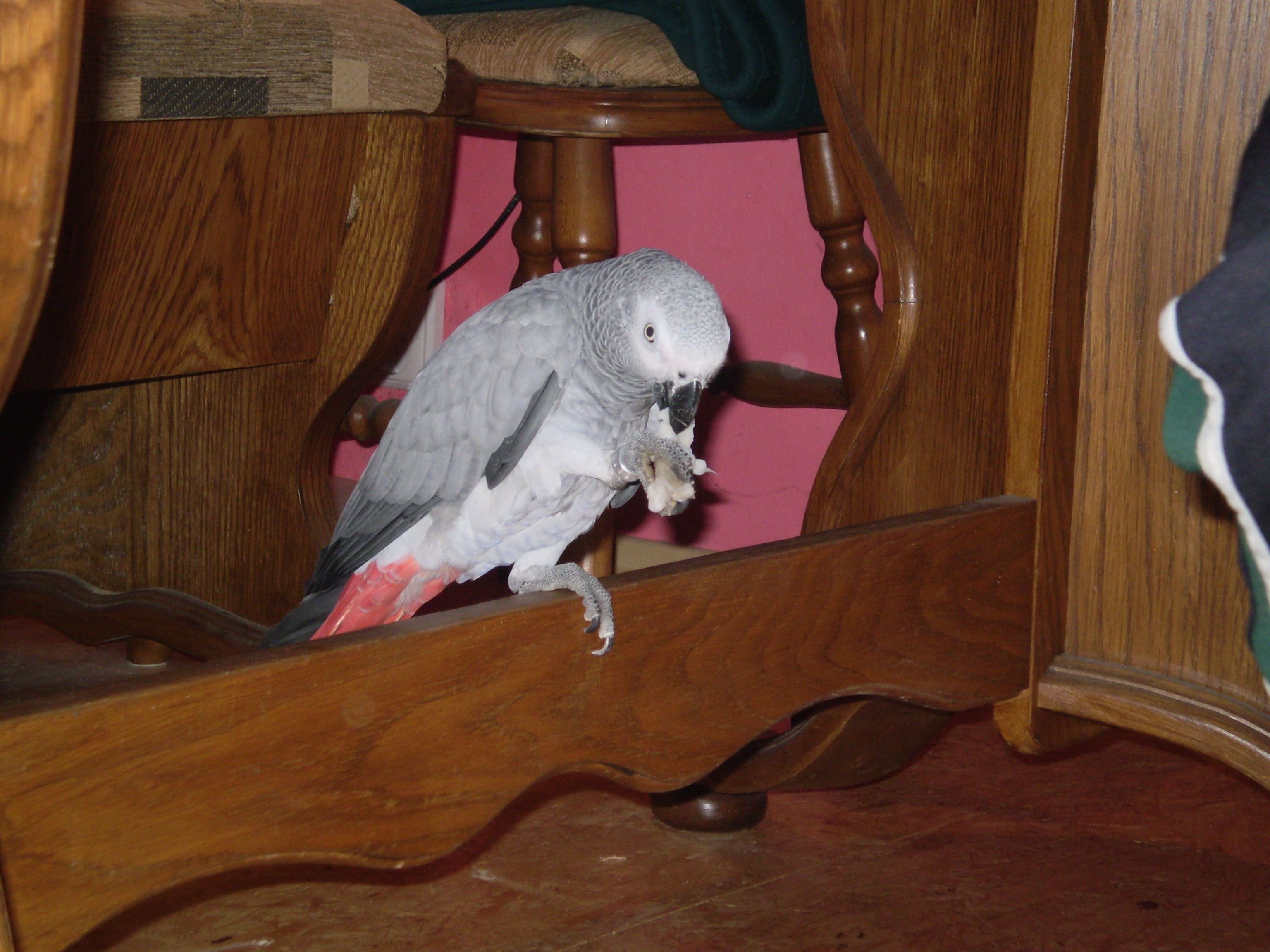 Snímek 026.jpg