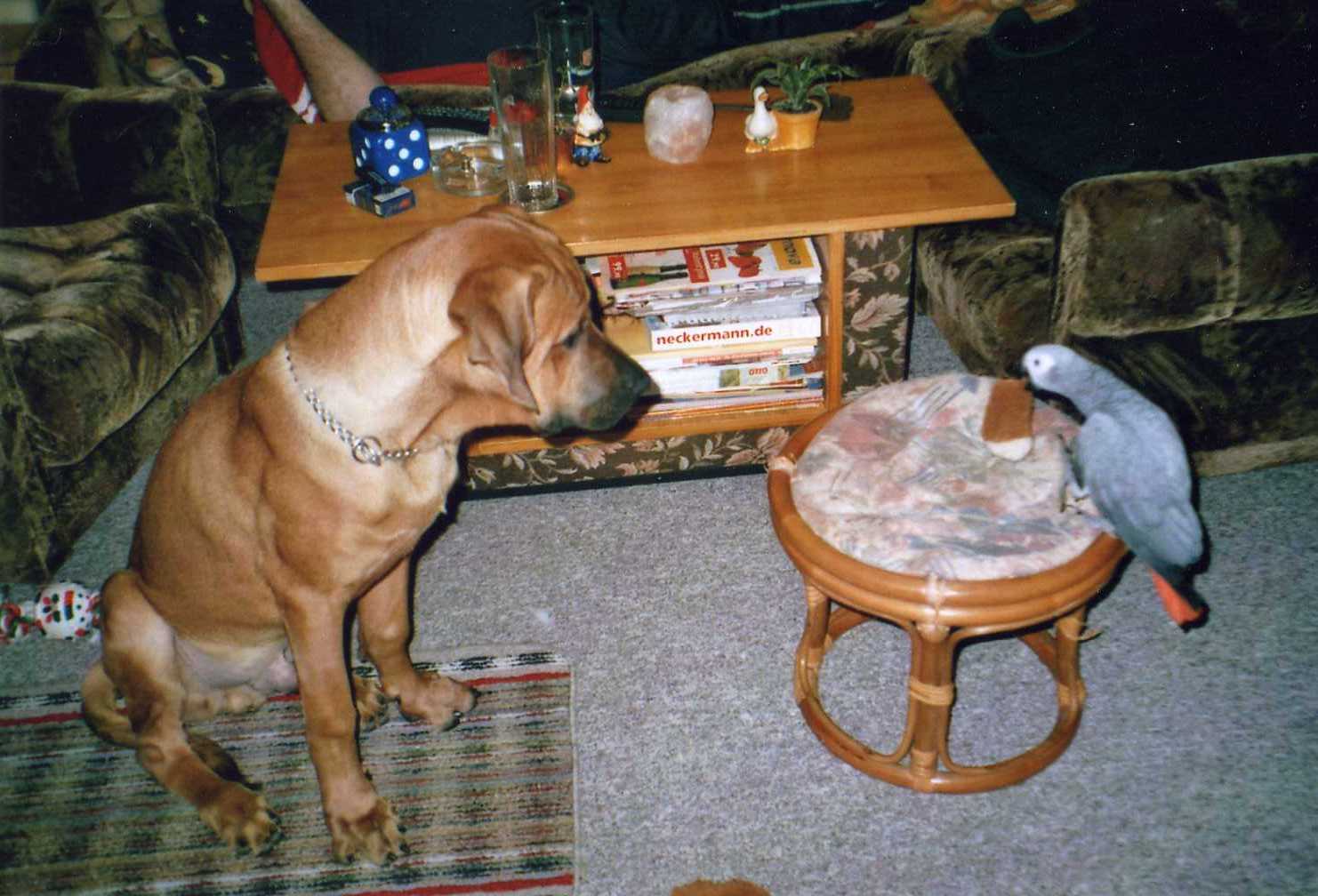 Snímek 028.jpg